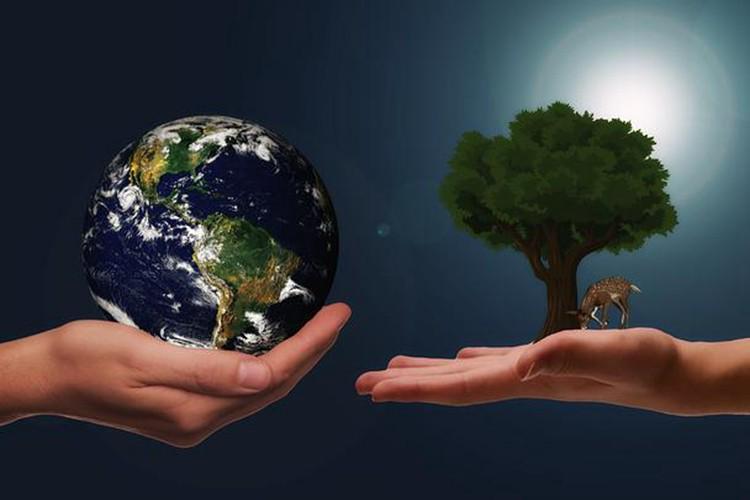 A picture of two hands holding the miniature earth and tree